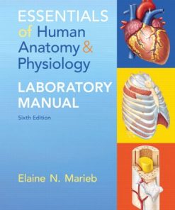 Essentials of Human Anatomy & Physiology Laboratory Manual (6th Edition) (PDF)