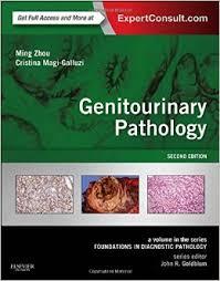 Genitourinary Pathology: A Volume in the Series: Foundations in Diagnostic Pathology