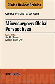 Microsurgery: Global Perspectives, An Issue of Clinics in Plastic Surgery, 1e (The Clinics: Surgery) 44th