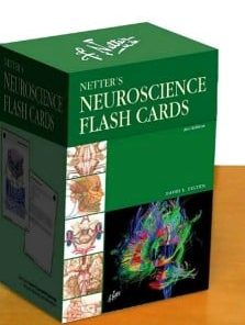 Netter’s Neuroscience Flash Cards, 2e (Netter Basic Science)