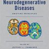 Neurodegenerative Diseases: Unifying Principles