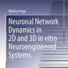 Neuronal Network Dynamics in 2D and 3D in vitro Neuroengineered Systems (Springer Theses)