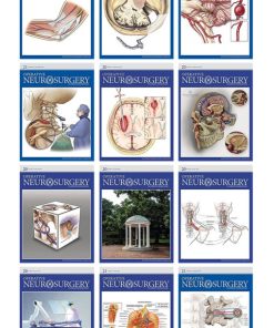 Operative Neurosurgery 2021 Full Archives (PDF)