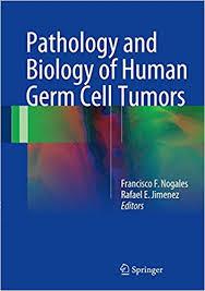 Pathology and Biology of Human Germ Cell Tumors 1st ed