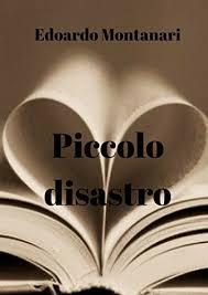 Piccolo disastro (Italian Edition)