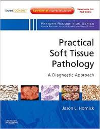 Practical Soft Tissue Pathology: A Diagnostic Approach: A Volume in the Pattern Recognition Series