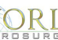 World Neurosurgery 2022 Archives (PDF)