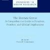 The Dentate Gyrus: A Comprehensive Guide to Structure, Function, and Clinical Implications, Volume 163