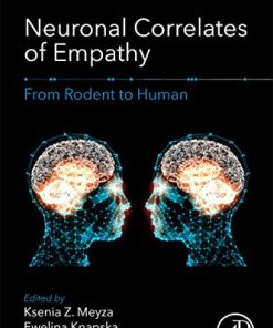 Neuronal Correlates of Empathy: From Rodent to Human (EPUB)