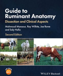 Guide to Ruminant Anatomy: Dissection and Clinical Aspects, 2nd Edition (EPUB)