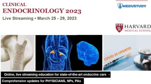 Harvard CLINICAL ENDOCRINOLOGY 2023