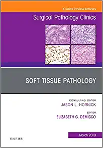 Soft Tissue Pathology, An Issue of Surgical Pathology Clinics (Volume 12-1) (The Clinics: Surgery, Volume 12-1) (PDF)