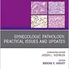 Gynecologic Pathology: Practical Issues and Updates, An Issue of Surgical Pathology Clinics (Volume 12-2) (The Clinics: Surgery, Volume 12-2) (PDF)