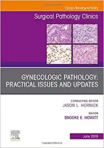 Gynecologic Pathology: Practical Issues and Updates, An Issue of Surgical Pathology Clinics (Volume 12-2) (The Clinics: Surgery, Volume 12-2) (PDF)