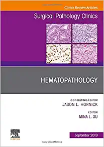 Hematopathology, An Issue of Surgical Pathology Clinics (Volume 12-3) (The Clinics: Surgery, Volume 12-3) (PDF)