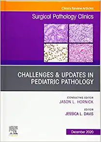 Challenges & Updates in Pediatric Pathology, An Issue of Surgical Pathology Clinics (Volume 13-4) (The Clinics: Surgery, Volume 13-4) (PDF)