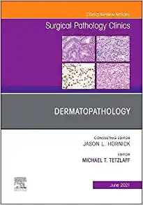 Dermatopathology, An Issue of Surgical Pathology Clinics (Volume 14-2) (The Clinics: Surgery, Volume 14-2) (PDF)