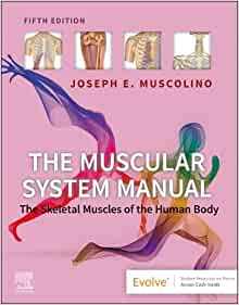 The Muscular System Manual: The Skeletal Muscles of the Human Body, 5th edition (PDF)