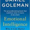 Emotional Intelligence: Why It Can Matter More Than IQ (EPUB)