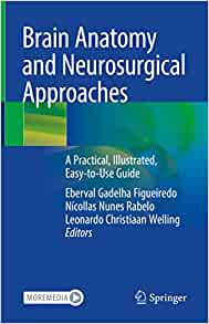 Brain Anatomy and Neurosurgical Approaches: A Practical, Illustrated, Easy-to-Use Guide (EPUB)