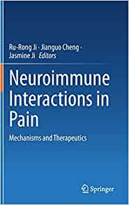 Neuroimmune Interactions in Pain: Mechanisms and Therapeutics (EPUB)