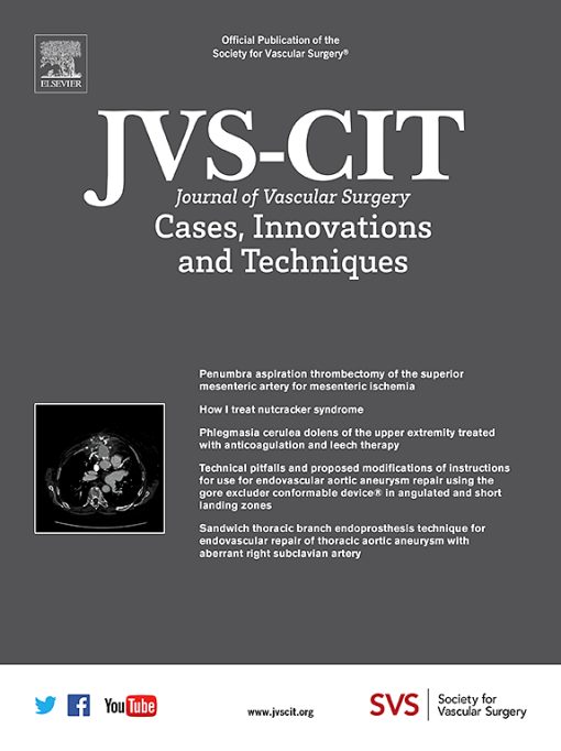 Journal of Vascular Surgery Cases, Innovations and Techniques PDF