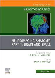 Neuroimaging Clinics of North America Volume 32 Issue 3