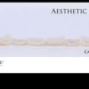 Aesthetic Dentistry – Carlos Falcao (Course)