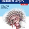 Color Atlas of Brainstem Surgery (EPUB)