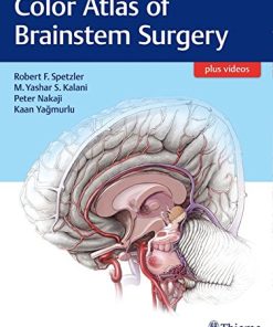 Color Atlas of Brainstem Surgery (EPUB)