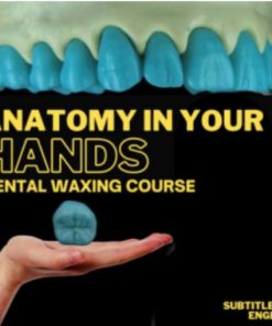 Dental Waxing Course (Portuguese Language – Subtitles: English and Español) (Course)