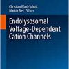 Endolysosomal Voltage-Dependent Cation Channels (Handbook of Experimental Pharmacology, 278) (EPUB)