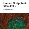 Human Pluripotent Stem Cells: A Practical Guide (EPUB)