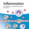 Inflammation, 4 Volume Set: From Molecular and Cellular Mechanisms to the Clinic (EPUB)