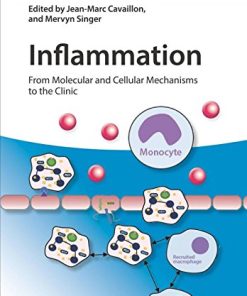 Inflammation, 4 Volume Set: From Molecular and Cellular Mechanisms to the Clinic (EPUB)