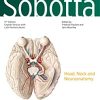 Sobotta Atlas of Anatomy, Vol. 3, 17th ed., English/Latin: Head, Neck and Neuroanatomy (PDF)