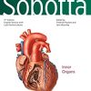 Sobotta Atlas of Anatomy, Vol. 2, 17th ed., English/Latin: Internal Organs (PDF)