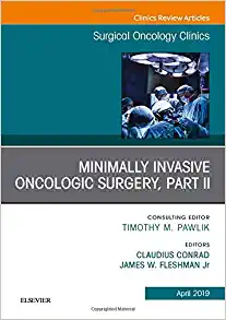 Minimally Invasive Oncologic Surgery, Part II, An Issue of Surgical Oncology Clinics of North America (Volume 28-2) (The Clinics: Surgery, Volume 28-2) (PDF)