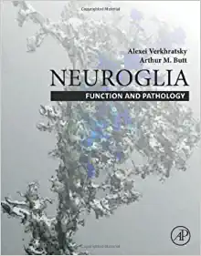 Neuroglia: Function and Pathology (PDF)