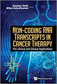 Non-coding Rna Transcripts in Cancer Therapy: Pre-clinical and Clinical Implications (PDF)