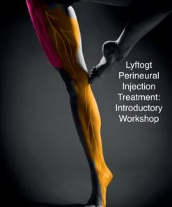 Lyftogt Perineural Injection Treatment: 3 Day Introductory Workshop