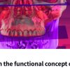 OHI-S Occlusion in the Functional Concept of Slavicek – Gregor Slavicek