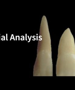 An Introduction to Facial Analysis