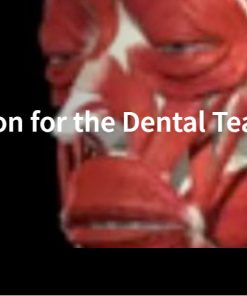 Part 4: A Deeper Look at Occlusion for the Dental Team: Periodontium and Dentition