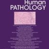 Human Pathology Volume 141