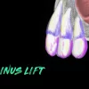 Ninja Sinus Lift (Course)