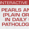 Pearls and Pitfalls (Plain or Splashy) in Daily Urologic Pathology Practice 2023 (Course)