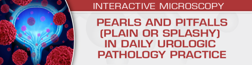 Pearls and Pitfalls (Plain or Splashy) in Daily Urologic Pathology Practice 2023 (Course)