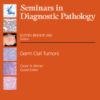 Seminars in Diagnostic Pathology PDF