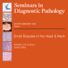 Seminars In Diagnostic Pathology Volume 40, Issue 5